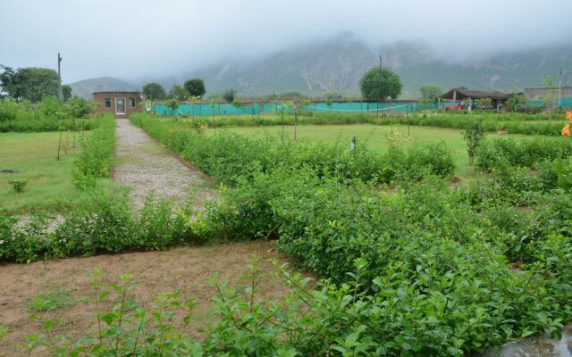 The Tiger Hill Sariska Resort
