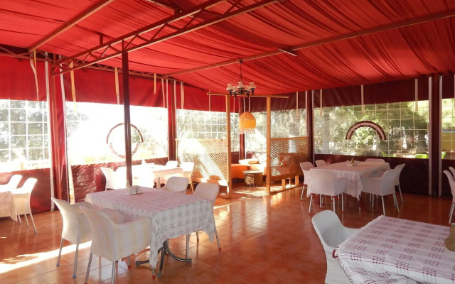 Koru Beach Club