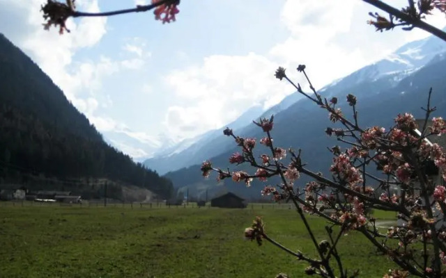 Bioholzhaus Haslinger