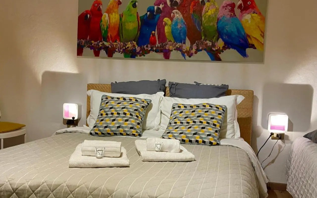 B&B Maggiore 58