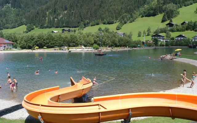 Haus Dachstein Schnitzer