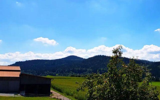 Holiday Apartment Haus Leutner Bavarian Forest