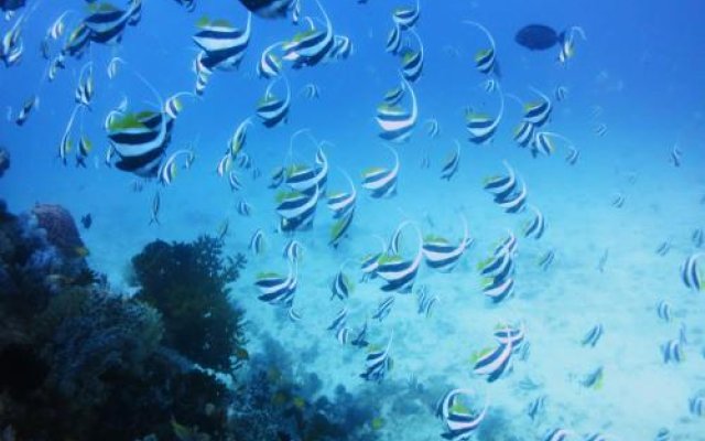 Paseo Del Mar Dive Resort