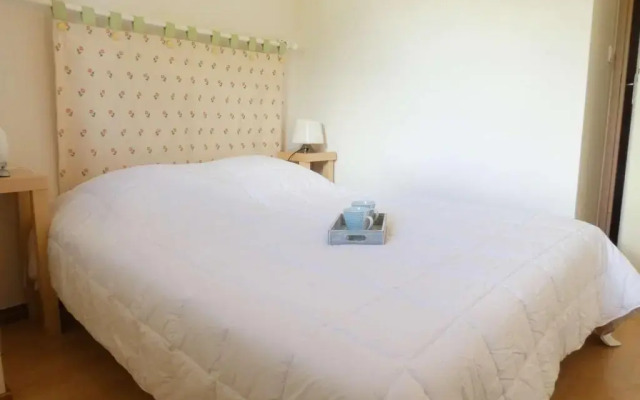 Appartement Saint-Lary-Soulan, 2 pièces, 4 personnes - FR-1-457-160