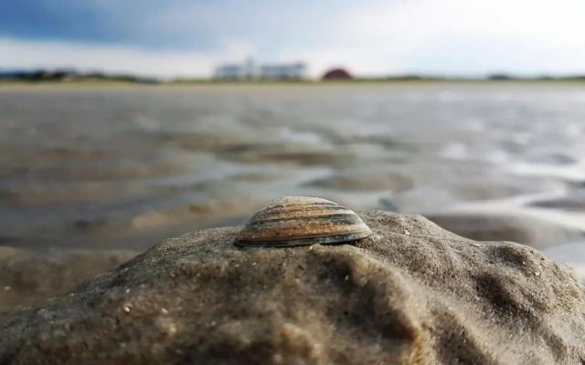 Haus Inselrose Juist