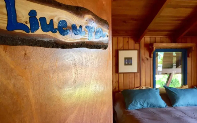 Hostel Raiz