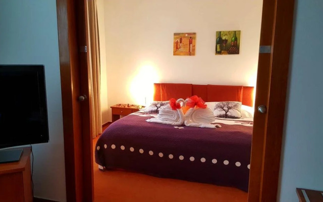 Wellness Hotel Synot