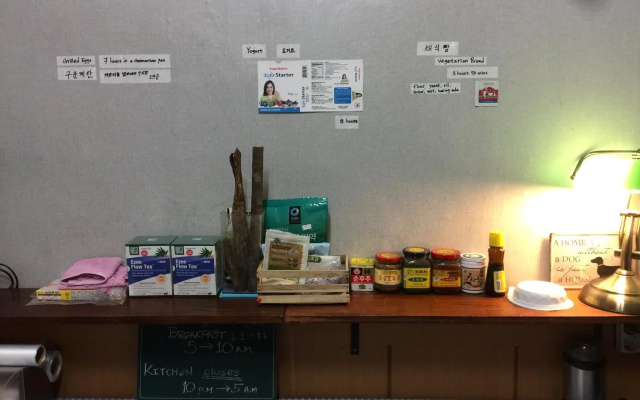 Backpackers in Jeju City Center