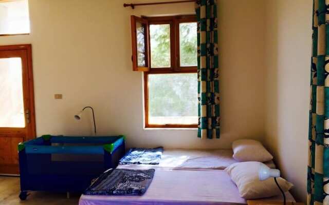 Dibeen Eco Farm House