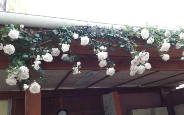 Guest house on Shevchenko 68