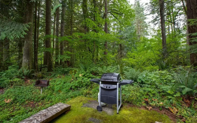 Mt Baker Lodging Cabin 60 - Sleeps 4