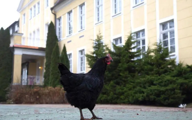 Parkhotel Schloss Wulkow