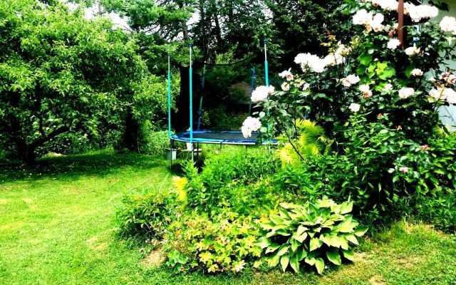 Apartment Ivana B