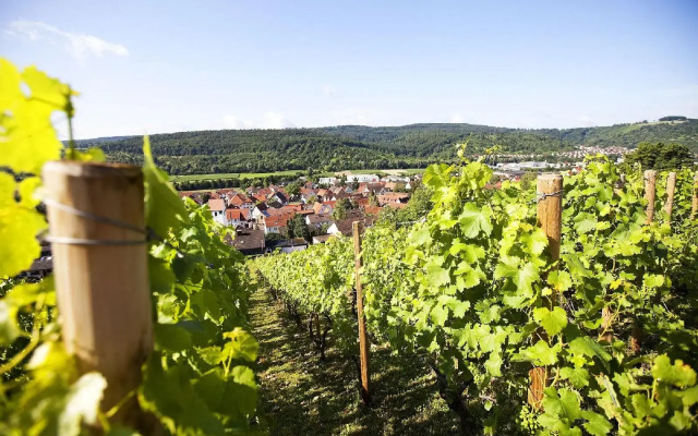 Hotel Lamm Hebsack
