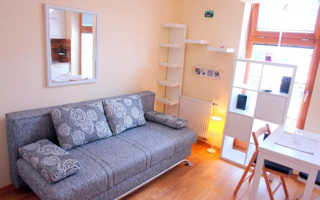 Mini Studio