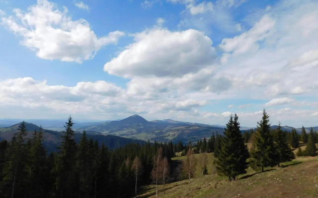 Pension Dariana