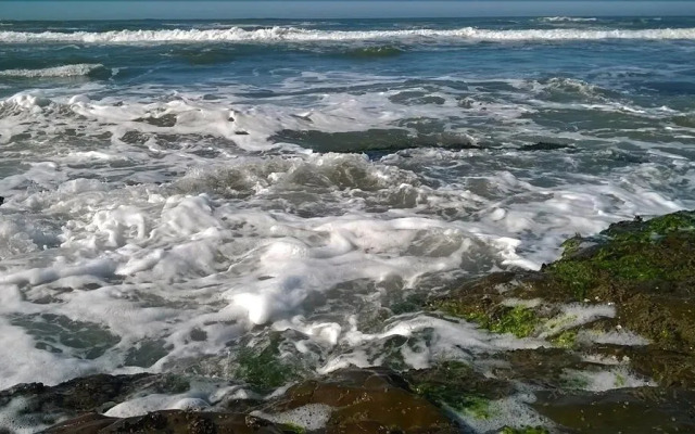 Hostel Tribos Livres