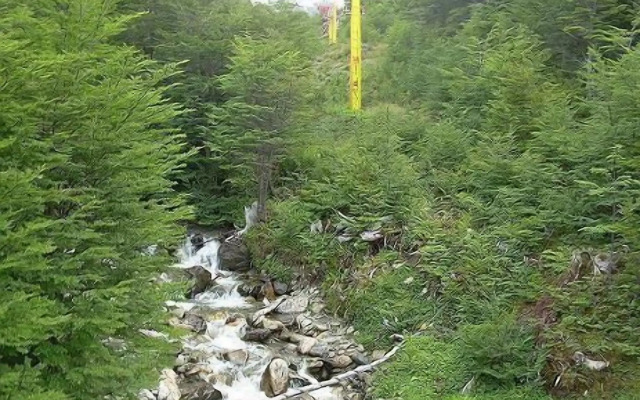 Patagonia Sur Apart Hotel