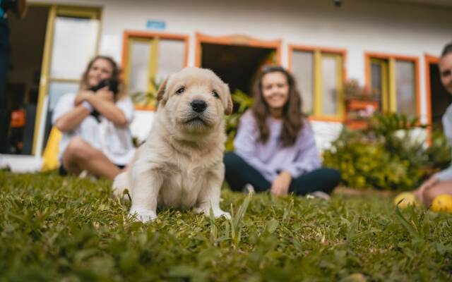 Viajero Salento Hostel