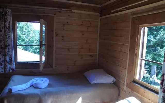 Tanevit Dag Evi