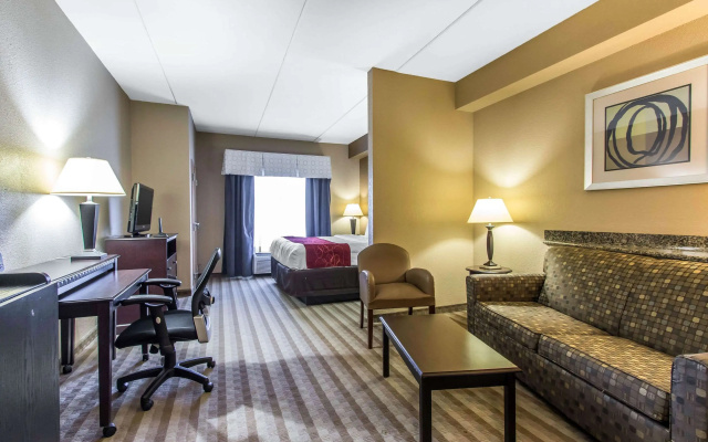 Comfort Suites Smyrna - Nashville Area