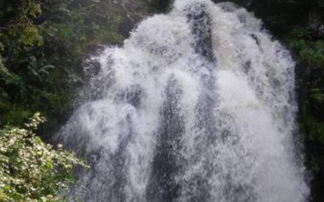 Gîte Le Tholy, 3 pièces, 5 personnes - FR-1-589-179