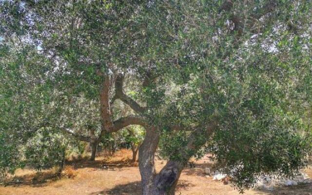 La Cabane Ostuni Sea View Holiday Home