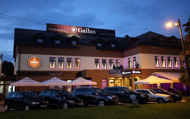 Hotel Gallus