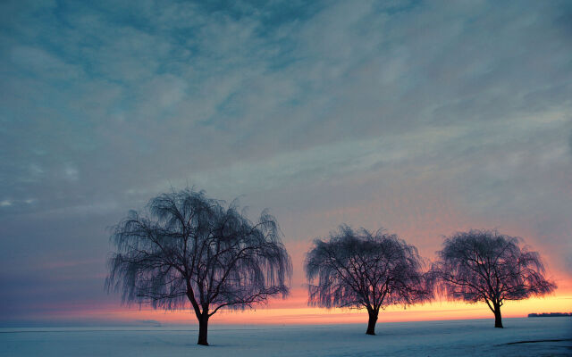 Maumee Bay Lodge and Conference Center
