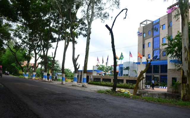 Dolphin Chocolate Inn