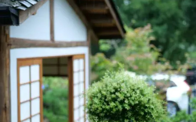 Mount Wuyi Xiyuan Mountain Residence B&B