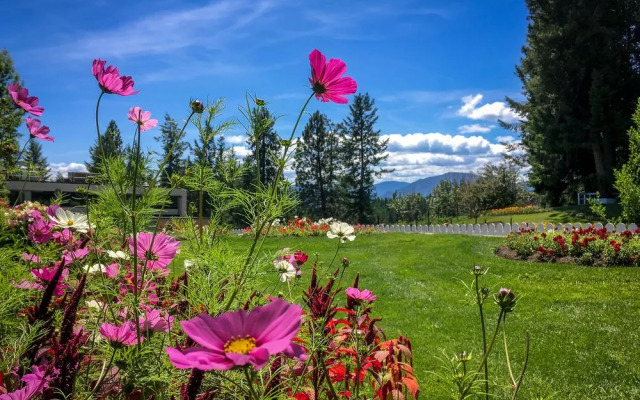 Kimberley Inn and Suites