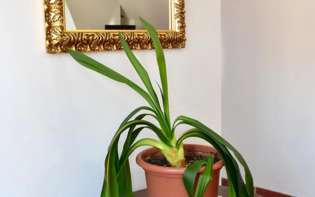 Old Town Konviktská - Bohemian Residence