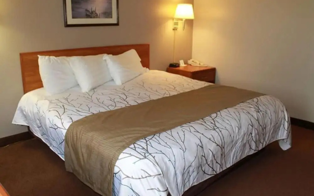 Edmore Inn