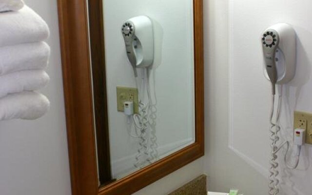 Denali Grizzly Bear Resort