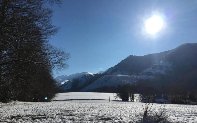 Charmant T2 Sur Cour