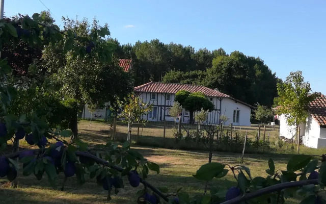 Gite Taller, 4 pièces, 9 personnes - FR-1-360-582