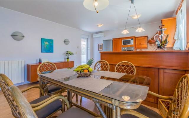 Apartment Alin
