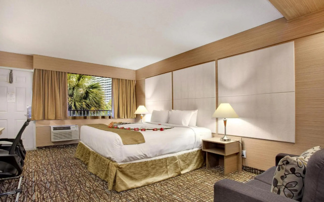 Ocean Beach Palace Hotel and Suites