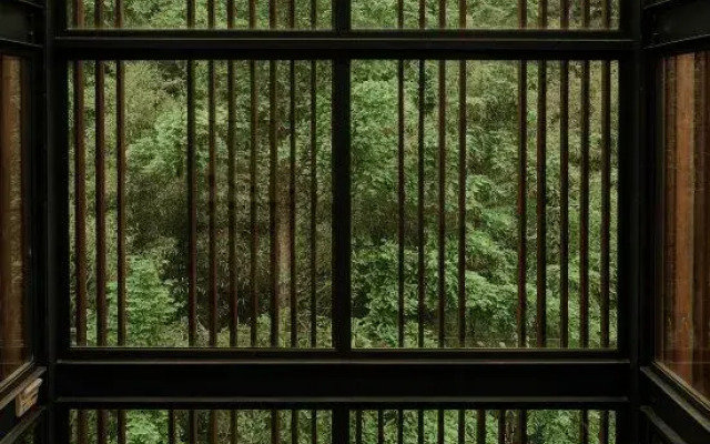 Translation: Tingjian · Moganshan | Forest Oxygen Private Hot Spring Resort Homestay