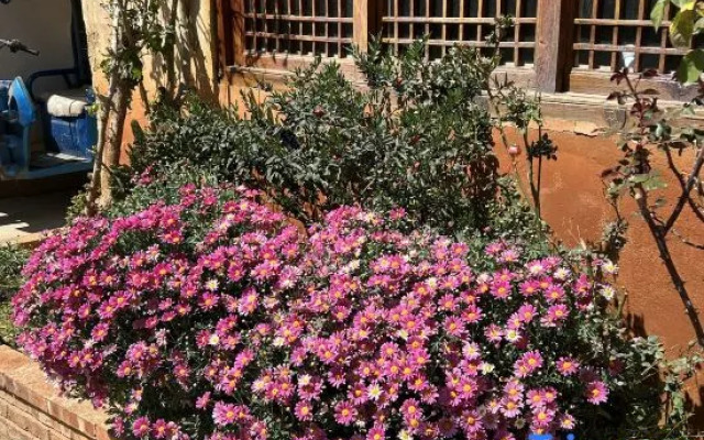 Xiangmo Youth Hostel