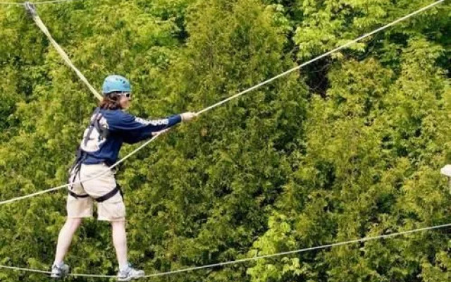 Little Cove Adventures