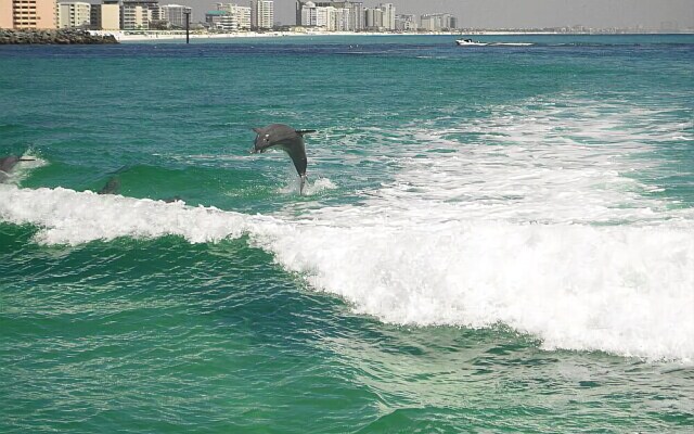 1367 Laurel Grove - 3 Br Home