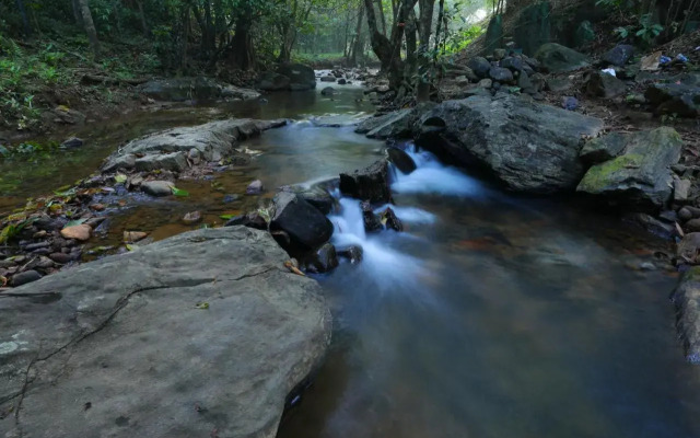 Abad Brookside Wayanad