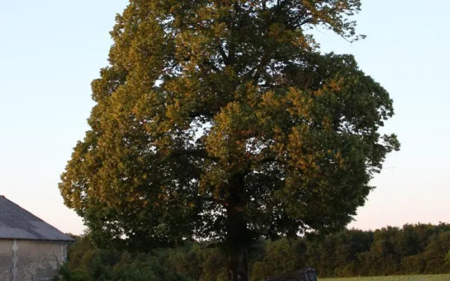 Chambres dHôtes de lEpine