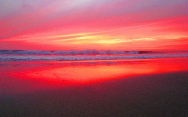 Luxury 2 bedroom condo with ocean view - Few steps from beach