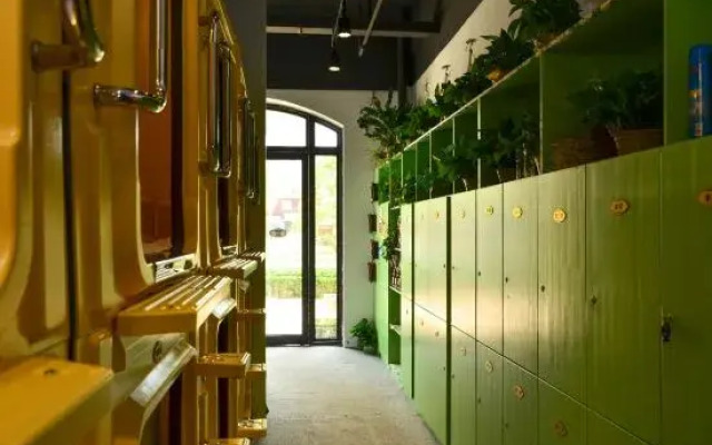 Backpacker Youth Hostel