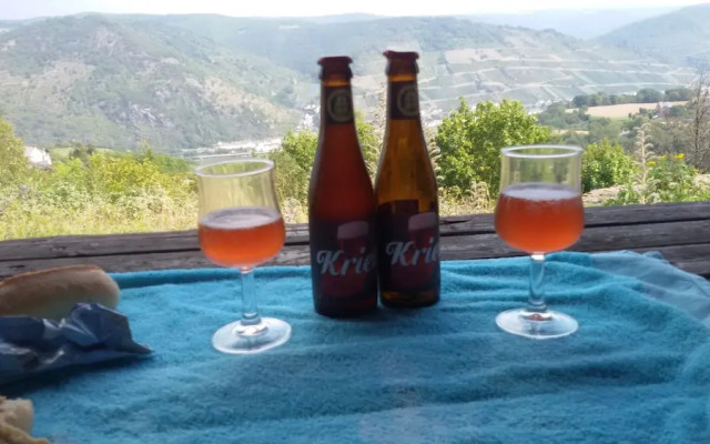 Hotel Pension Winzerhaus