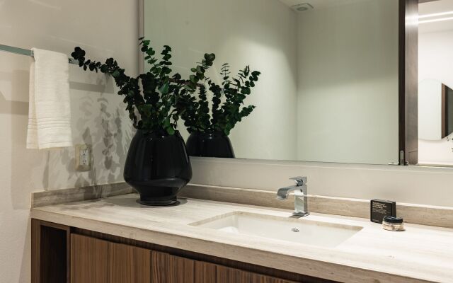 Casai Polanco 2 BR 2BA Sophisticated Suite