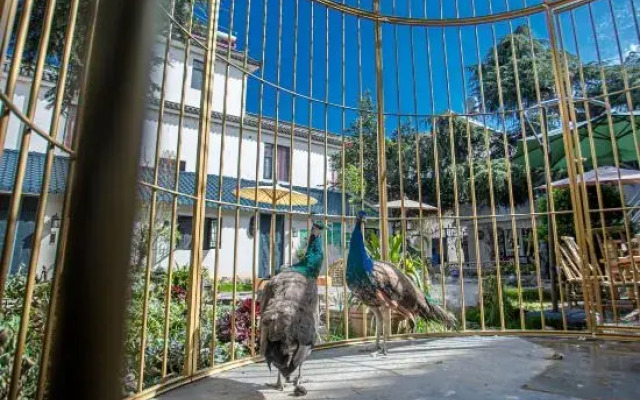 Dali Cangyulou Homestay (Bohai Branch)